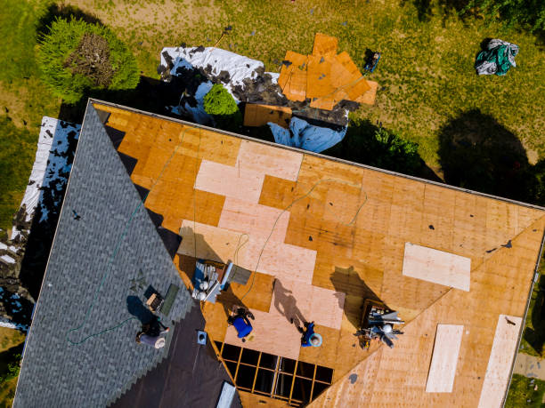 Best Roof Restoration Services  in Brandermill, VA