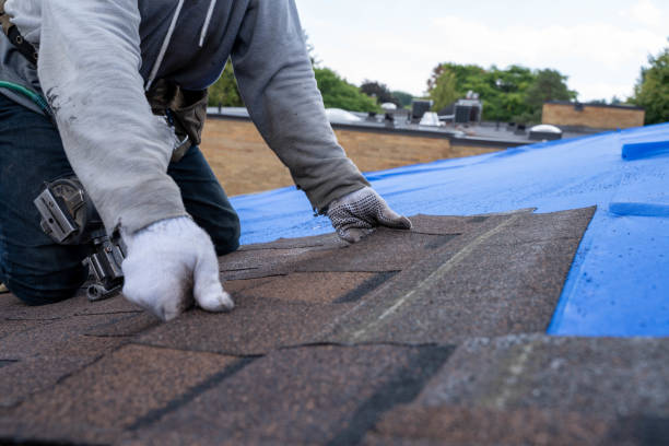 Best Affordable Roof Replacement  in Brandermill, VA
